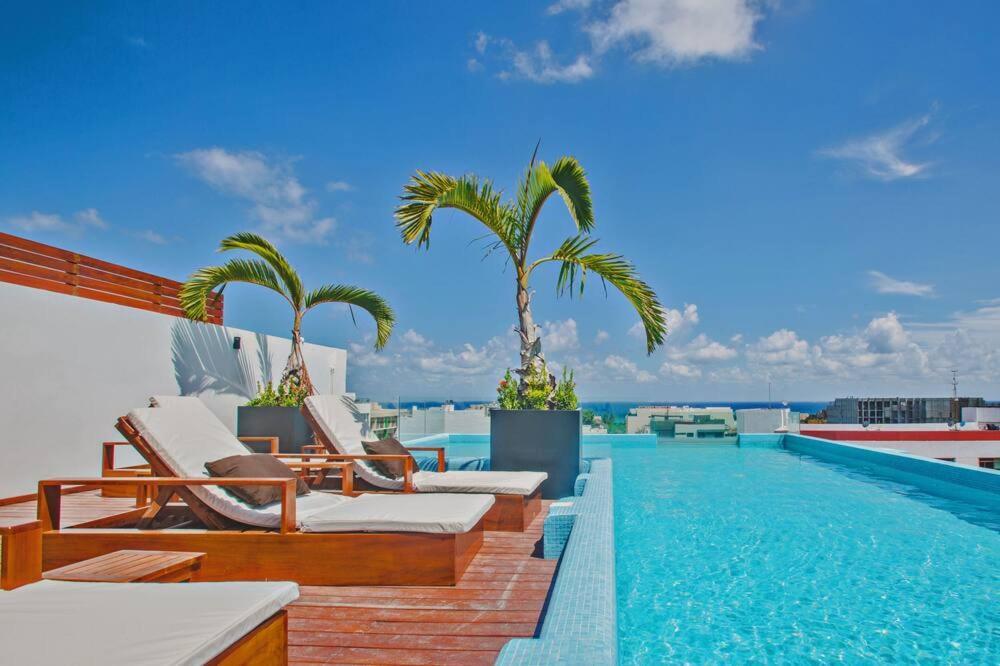 Moma Playa del Carmen